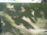 image of grave number 268436
